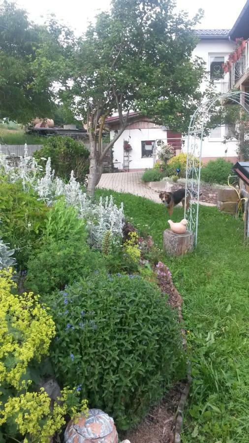 Ferienwohnung S' Plaetzli Freiamt Екстериор снимка